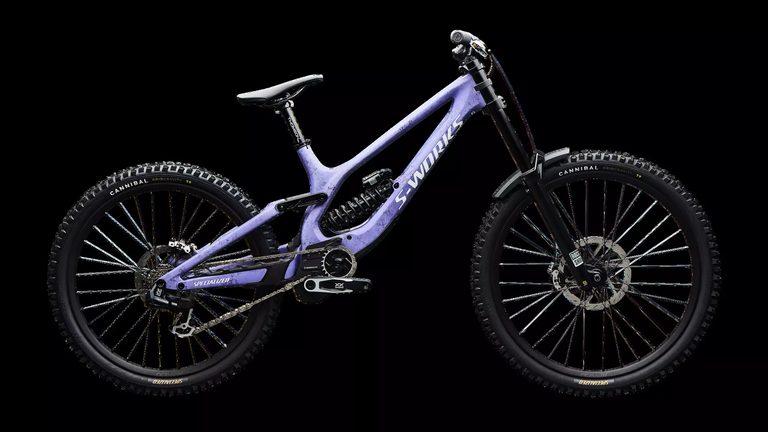 Specialized S-Works Demo 11